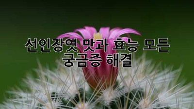 선인장엿: 맛과 효능, 모든 궁금증 해결!