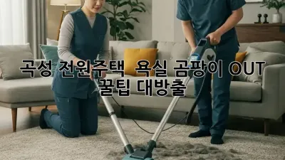 곡성 전원주택 🏡 욕실 곰팡이 OUT! ✨ 꿀팁 대방출