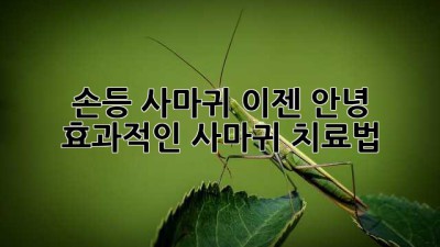 손등 사마귀, 이젠 안녕! 효과적인 사마귀 치료법
